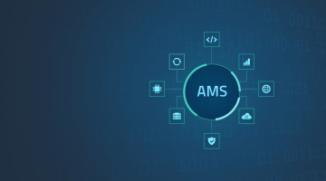custom AMS system development