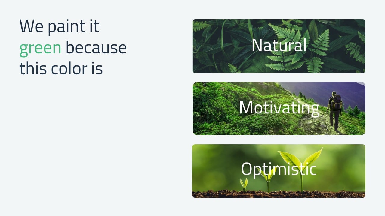 Green color meaning in DICEUS logo