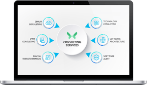 IT consulting services