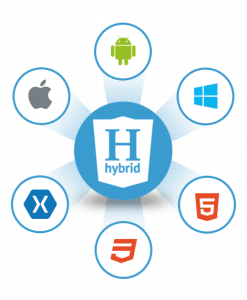 Hybrid