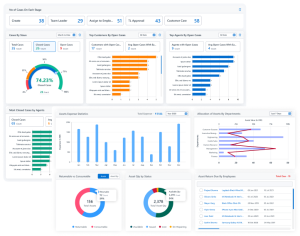 Software support services