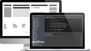 Offshore web development services | DICEUS