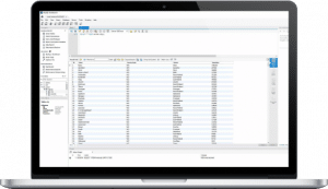 Software system integration