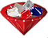 RVM icon