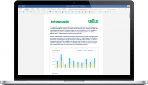 Software audit services