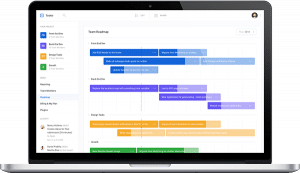 Software development consulting services