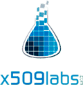X.509 icon